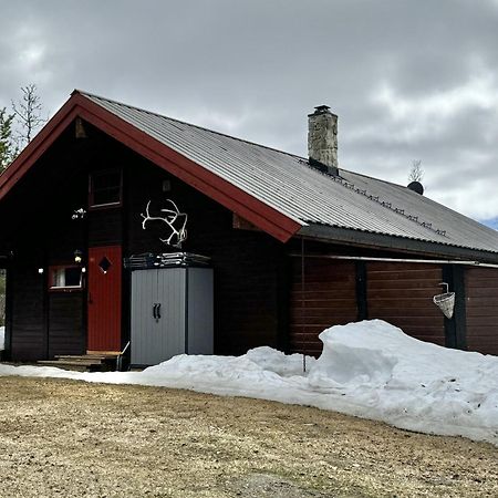 Koselig Hytte Med Usjenert Og Solrik Beliggenhet Geilo Zewnętrze zdjęcie