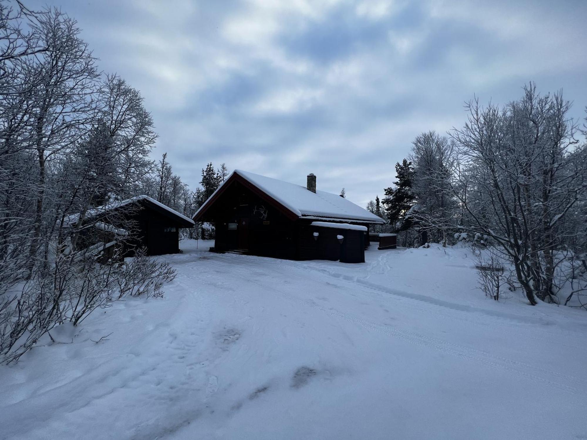 Koselig Hytte Med Usjenert Og Solrik Beliggenhet Geilo Zewnętrze zdjęcie