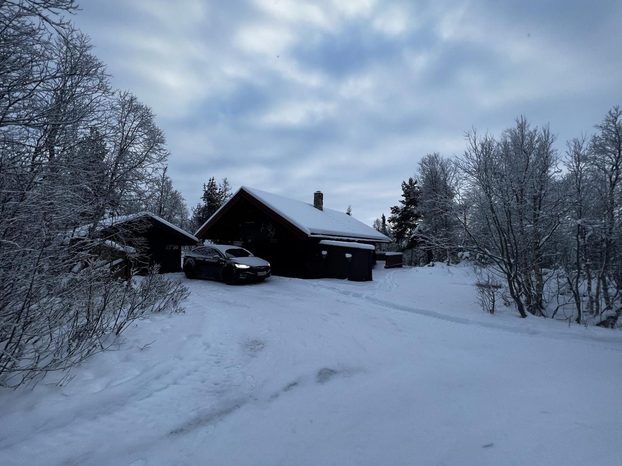 Koselig Hytte Med Usjenert Og Solrik Beliggenhet Geilo Zewnętrze zdjęcie