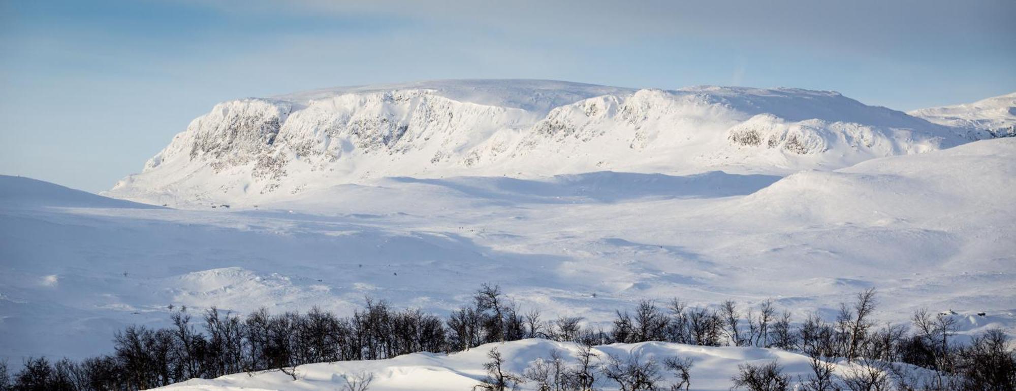Koselig Hytte Med Usjenert Og Solrik Beliggenhet Geilo Zewnętrze zdjęcie